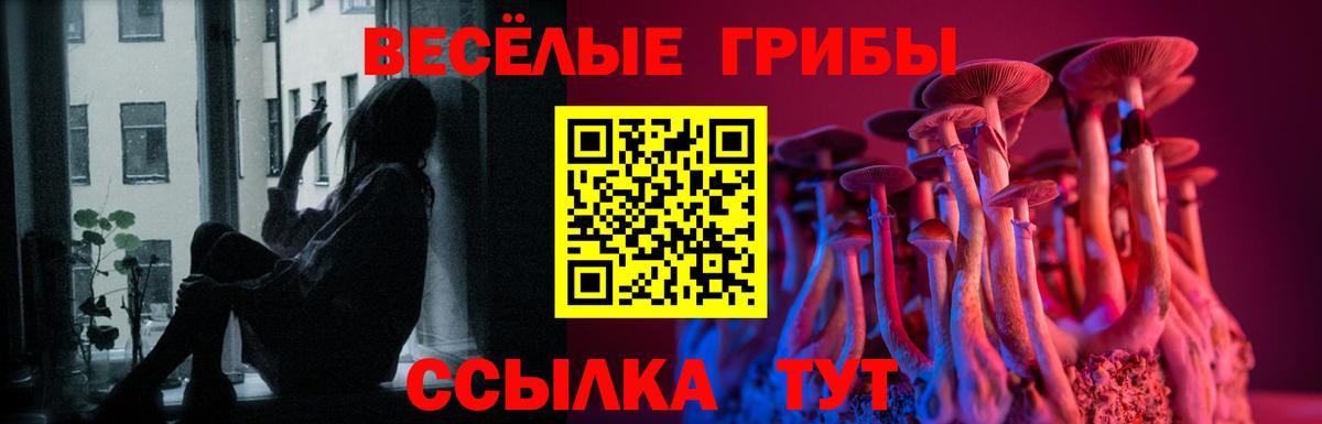 Псилоцибиновые грибы Psilocybe Чебаркуль